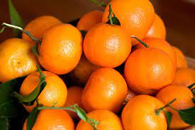 Your Guide to Everyone's Favorite Winter Citrus: Clementines | Arts &  Culture | Smithsonian Magazine